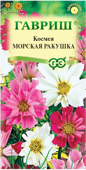 Космея Морская Ракушка Гавриш 