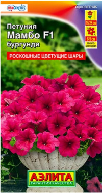 Петуния Мамбо F1 Бургунди Аэлита
