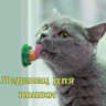 Леденец для кошек - 