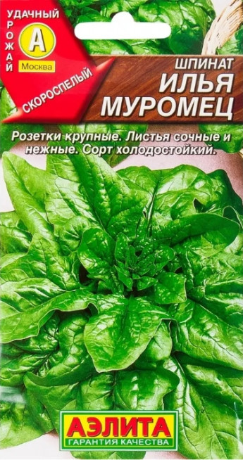 Шпинат Илья Муромец Аэлита 