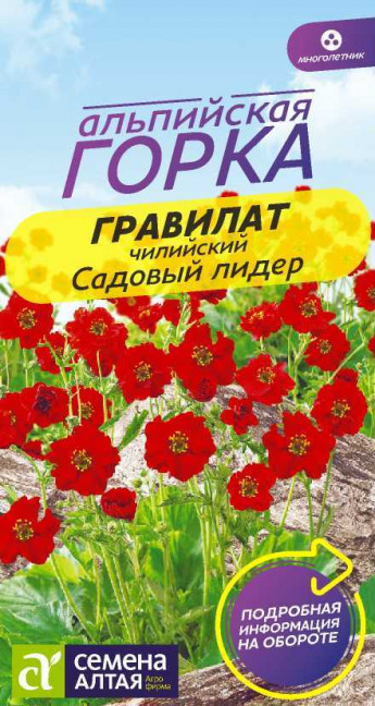 Гравилат чилийский Садовый Лидер 