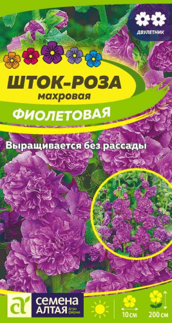 Шток-роза Фиолетовая Сем.Алтая 