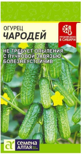 Огурец Чародей F1 Сем.Алтая 