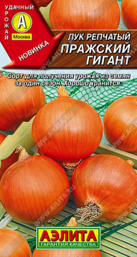 Лук репч. Пражский Гигант Аэлита