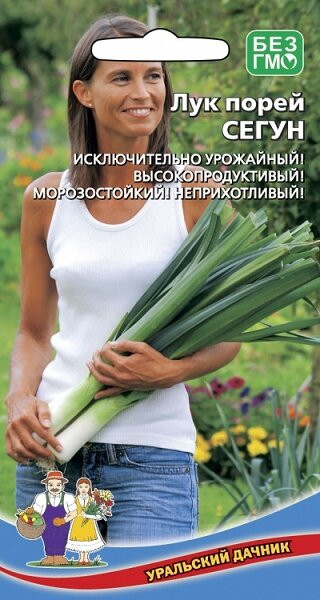 Лук порей Сегун 