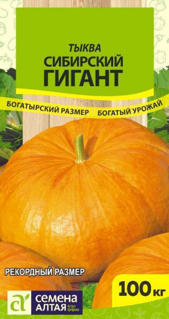 Тыква Сибирский Гигант Сем.Алтая 