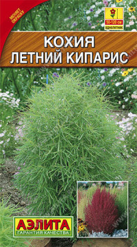 Кохия Летний Кипарис АЭЛИТА