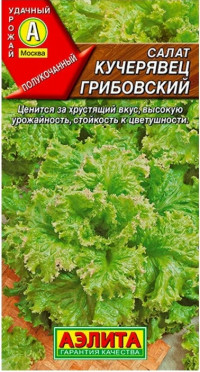 Салат Кучерявец Грибовский