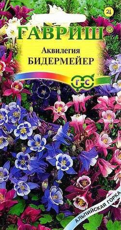 Аквилегия Бидермейер 