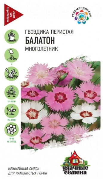 Гвоздика Перистая Балатон Гавриш 