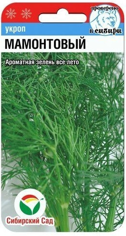 Укроп Мамонтовый Сиб.Сад 