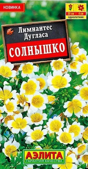Лимнантес дугласа Солнышко Аэлита 