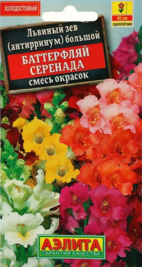 Львиный зев Баттерфляй Серенада Аэл
