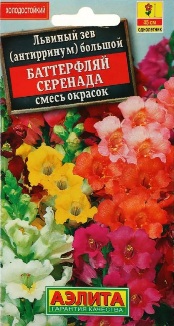 Львиный зев Баттерфляй Серенада Аэл 
