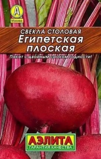Свекла Египетская Плоская лидер